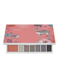 limited eye and cheek palette